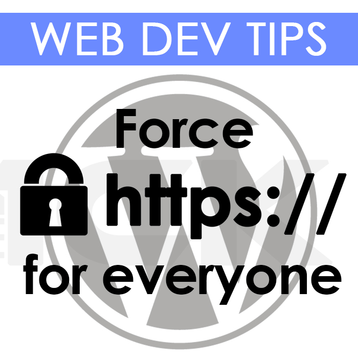 force https sll wordpress secure