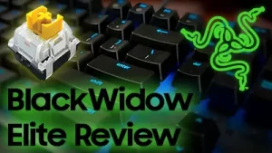 Razer BlackWidow Elite Review: A Typist's Long-Term Take