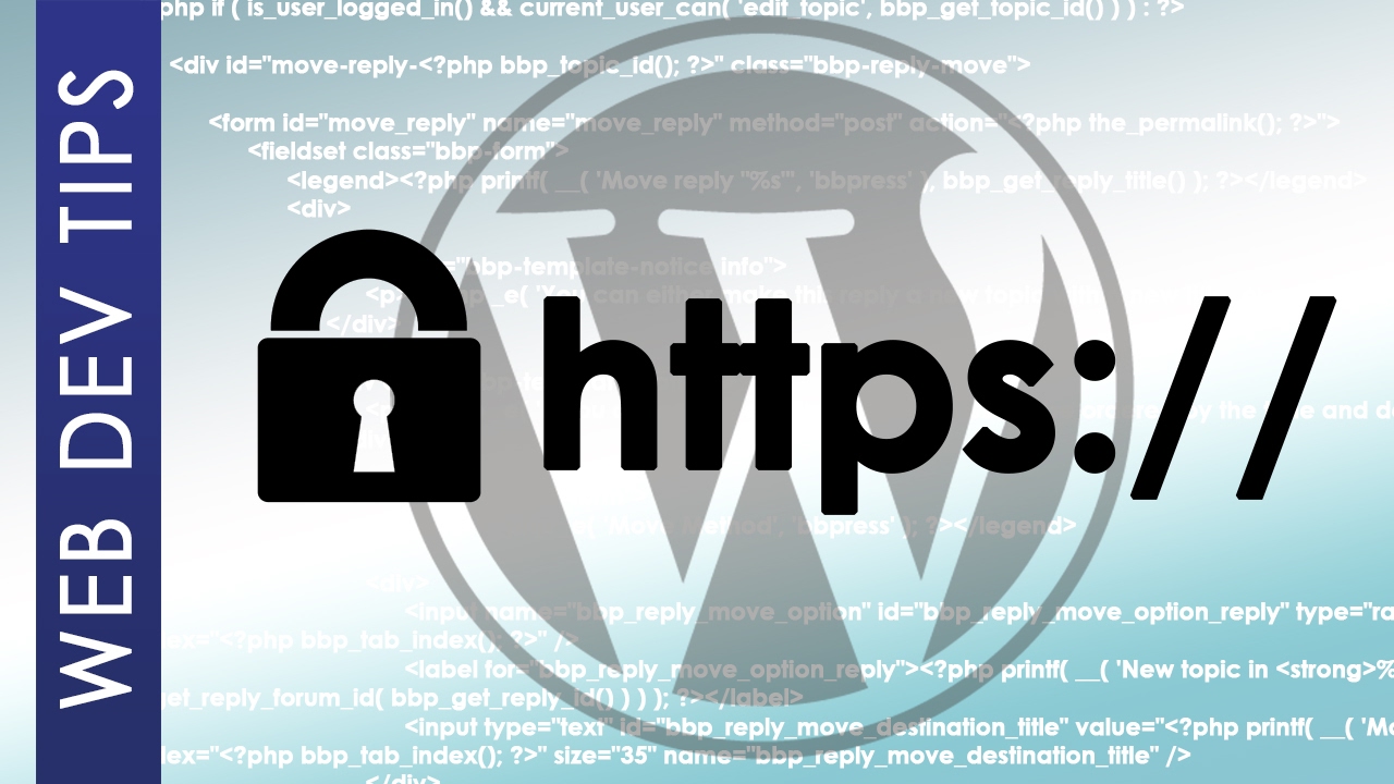 Force redirect to HTTPS on WordPress video thumbnail