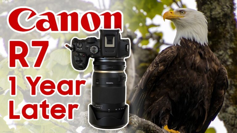 Canon R7 Review: One Year Later, Still Worth It?